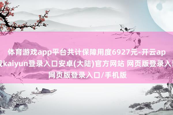 体育游戏app平台共计保障用度6927元-开云app官网下载kaiyun登录入口安卓(大陆)官方网站 网页版登录入口/手机版