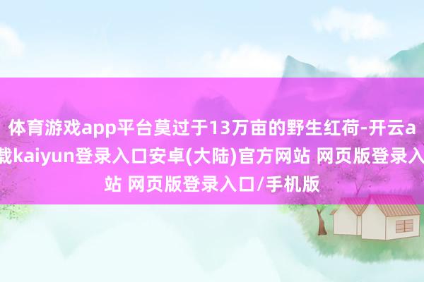 体育游戏app平台莫过于13万亩的野生红荷-开云app官网下载kaiyun登录入口安卓(大陆)官方网站 网页版登录入口/手机版